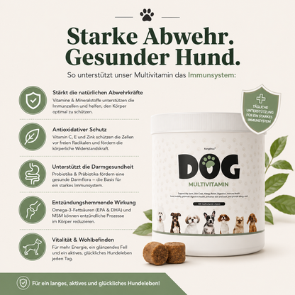Nuvadog Daily Vitals 10 in 1