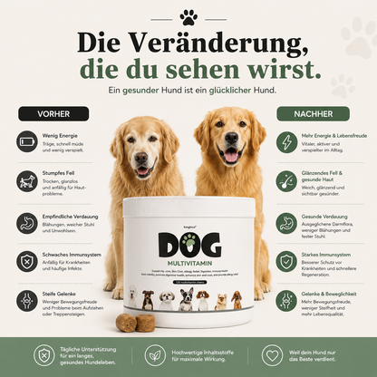 Nuvadog Daily Vitals 10 in 1